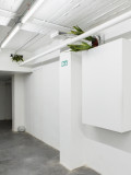 hadassa-ngamba-strombeek-07