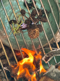 hadassa-ngmaba-student-research-14